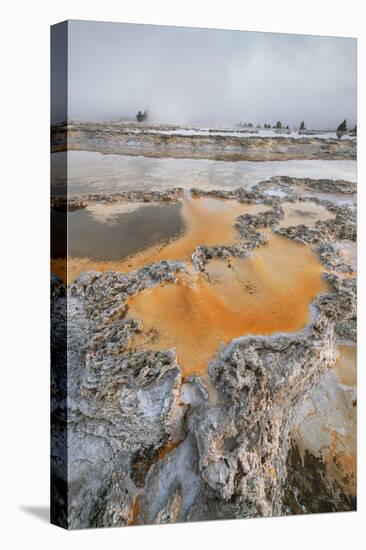 Colorful travertine formations at Great Fountain Geyser, Yellowstone National Park.-Alan Majchrowicz-Premier Image Canvas