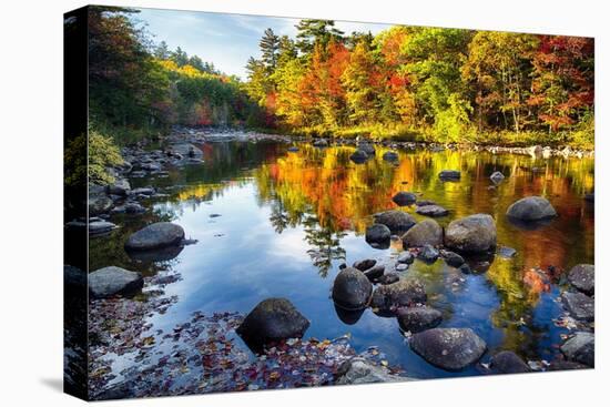 Colorful Trees Along the Swift River New Hampshire-George Oze-Premier Image Canvas