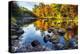 Colorful Trees Along the Swift River New Hampshire-George Oze-Premier Image Canvas