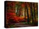 Colorful Way-Philippe Sainte-Laudy-Premier Image Canvas