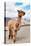 Colors of Peru - Brown Alpaca-Philippe HUGONNARD-Premier Image Canvas