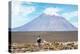 Colors of Peru - El Misti Volcano-Philippe HUGONNARD-Premier Image Canvas