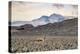 Colors of Peru - Lonely-Philippe HUGONNARD-Premier Image Canvas