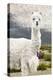 Colors of Peru - Mr. Llama-Philippe HUGONNARD-Premier Image Canvas