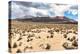 Colors of Peru - Peruvian Andes Desert-Philippe HUGONNARD-Premier Image Canvas