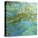 Colors of Tampa Bay-Margaret Juul-Stretched Canvas