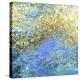 Colors of the St. Johns River-Margaret Juul-Stretched Canvas