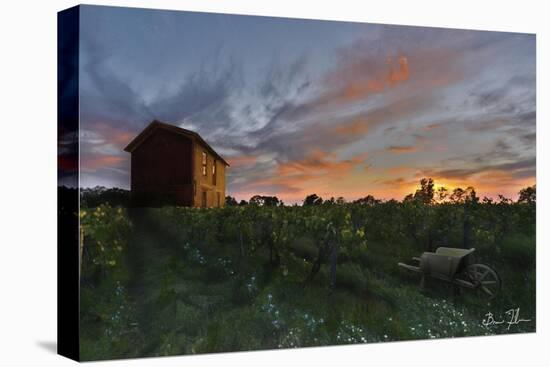Colors Over The Vineyard-5fishcreative-Premier Image Canvas