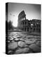 Colosseum and Via Sacra, Rome, Italy-Michele Falzone-Premier Image Canvas