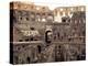 Colosseum Ruins, Rome, Italy-Bill Bachmann-Premier Image Canvas