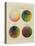 Colour Globes for Copper, Aquatint and Watercolour-Philipp Otto Runge-Premier Image Canvas