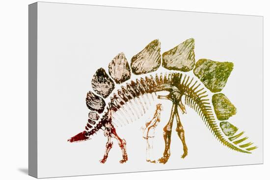 Coloured Engraving of a Stegosaurus Dinosaur-Mehau Kulyk-Premier Image Canvas