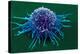 Coloured SEM of a Cancer Cell-Steve Gschmeissner-Premier Image Canvas