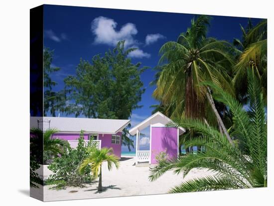 Colourful Beach Hut Beneath Palm Trees, Rum Point, Grand Cayman, Cayman Islands, West Indies-Ruth Tomlinson-Premier Image Canvas