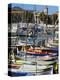 Colourful Boats in Port Lympia, Quartier Du Port, Nice, Alpes Maritimes, Provence, Cote D'Azur, Fre-Peter Richardson-Premier Image Canvas