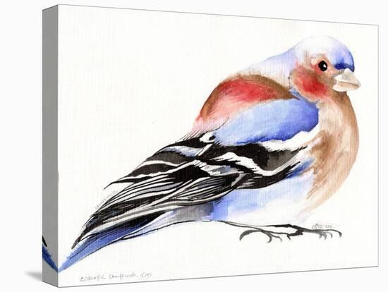 Colourful Chaffinch, 2011-Nancy Moniz-Premier Image Canvas