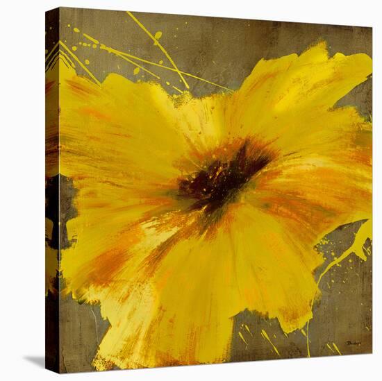 Colourful Flowers II-Bridges-Stretched Canvas