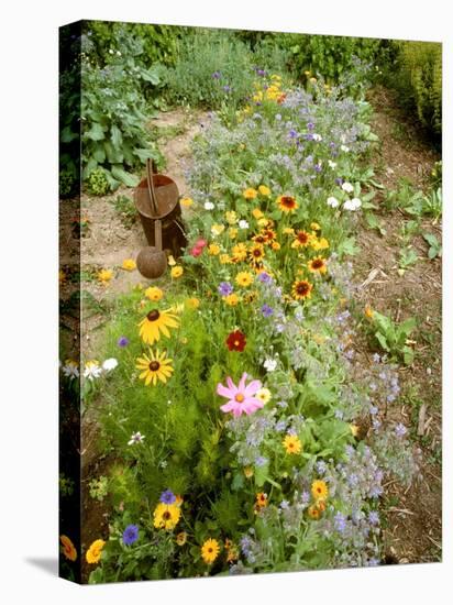 Colourful Summer Flowers in Garden-Ottmar Diez-Premier Image Canvas