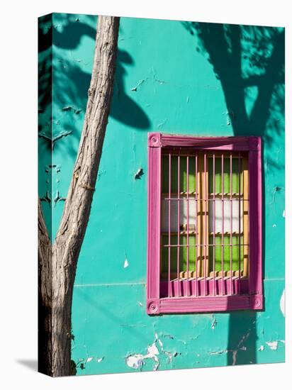 Colourfully Painted Housefronts in the Trendy District of Barrio Bellavista, Santiago, Chile-Gavin Hellier-Premier Image Canvas