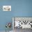 Colourpoint Kitten with Two Baby Rabbits-Mark Taylor-Premier Image Canvas displayed on a wall
