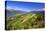 Columbia River Gorge from Crown Point, Oregon, Columbia River Gorge National Scenic Area, Oregon-Craig Tuttle-Premier Image Canvas