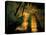 Columns and Domes in the Big Room, Carlsbad Caverns National Park, New Mexico, USA-Scott T. Smith-Premier Image Canvas