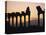 Columns in Public Building, Probably the Court of Justice, Baalbek, Lebanon, Middle East-Fred Friberg-Premier Image Canvas