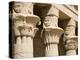 Columns of the Temple of Philae, UNESCO World Heritage Site, Nubia, Egypt, North Africa, Africa-Olivieri Oliviero-Premier Image Canvas