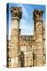 Columns, Tunisia-Nico Tondini-Premier Image Canvas