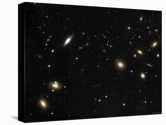 Coma Cluster of Galaxies-Stocktrek Images-Premier Image Canvas