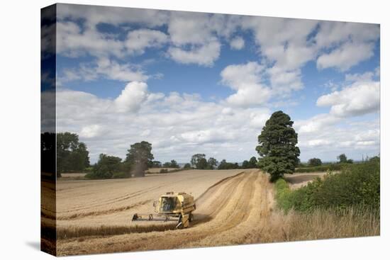 Combine Harvester Harvesting Oats (Avena Sativa), Haregill Lodge Farm, Ellingstring,Yorkshire, UK-Paul Harris-Premier Image Canvas