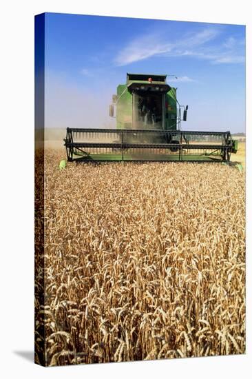 Combine Harvester Working In a Wheat Field-Jeremy Walker-Premier Image Canvas