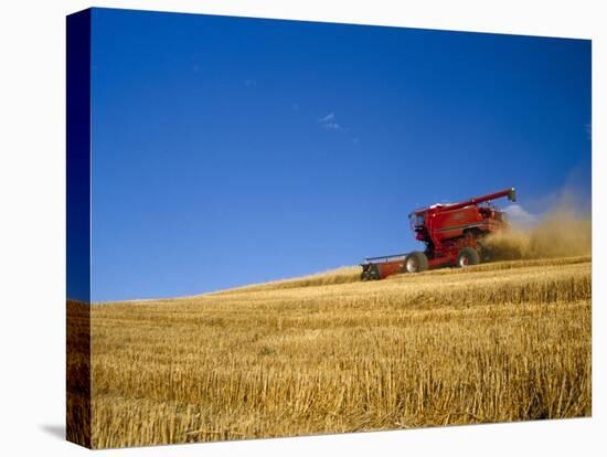 Combines Harvesting Crop, Palouse, Washington, USA-Terry Eggers-Premier Image Canvas