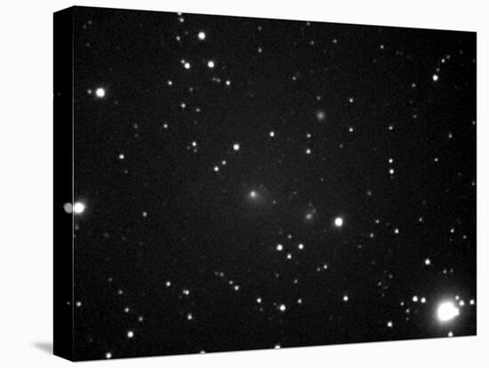 Comet 2008 J1 (Boattini), May 2008-John Sanford-Premier Image Canvas