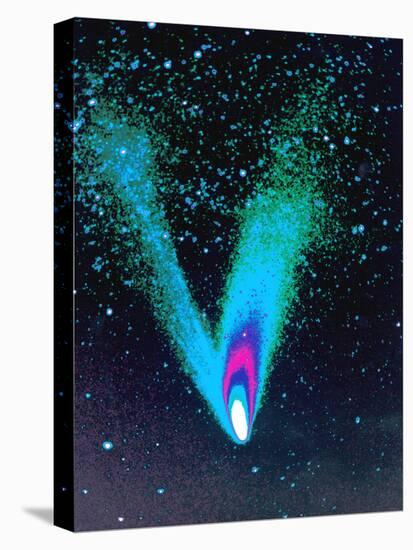 Comet Hale-Bopp-Detlev Van Ravenswaay-Premier Image Canvas