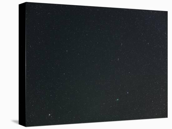 Comet Lulin-Stocktrek Images-Premier Image Canvas