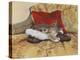 Comfy Slipper-Janet Pidoux-Premier Image Canvas