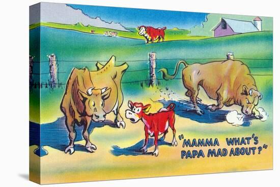 Comic Cartoon - Red Calf Asking Mamma Cow Why Papa Bull is Mad-Lantern Press-Stretched Canvas