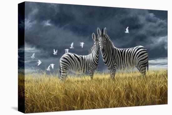 Coming of Rain Zebra-Jeremy Paul-Premier Image Canvas