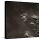 Command Module Above the Moon-null-Premier Image Canvas