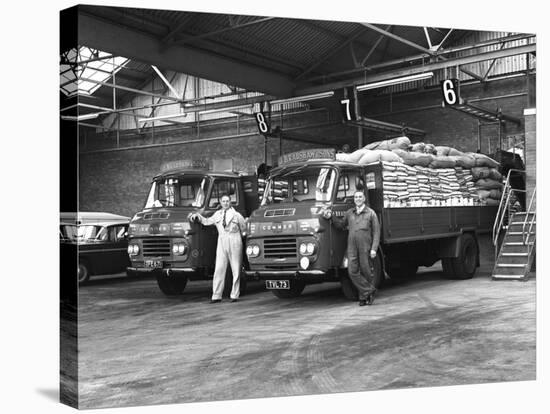 Commer Lorries at Spillers Foods Ltd, Gainsborough, Lincolnshire, 1962-Michael Walters-Premier Image Canvas