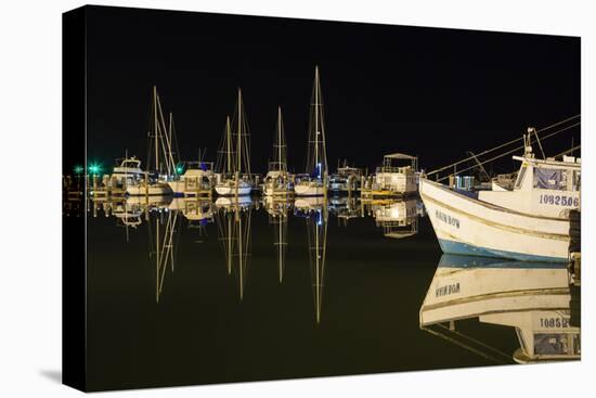 Commercial and Recreational Boats in Fulton Harbor-Larry Ditto-Premier Image Canvas