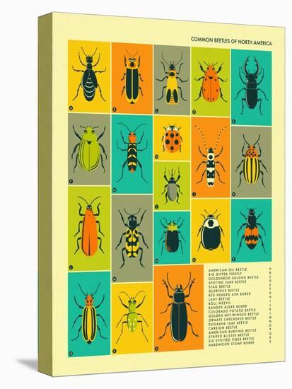 Common Beetles of North America-Jazzberry Blue-Stretched Canvas