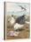 Common Gulls on a Beach-W. Foster-Stretched Canvas