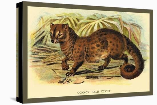 Common Palm Civet-Sir William Jardine-Stretched Canvas