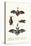 Common Pipistrelle, 1824-Karl Joseph Brodtmann-Premier Image Canvas