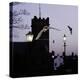 Common Pipistrelles (Pipistrellus Pipistrellus) Flying Round Church Tower. UK. Digital Composite-null-Premier Image Canvas