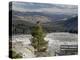 Common Raven, Mammoth Hot Springs, Yellowstone National Park, Wyoming, USA-Rolf Nussbaumer-Premier Image Canvas