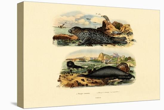 Common Seal, 1833-39-null-Premier Image Canvas