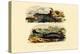 Common Seal, 1833-39-null-Premier Image Canvas